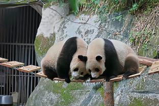 缺战中国香港，对阵日本出场！梅西球迷怒砸珍藏的壁画